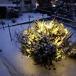 Fewo28 - In Freiberg